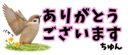 856611617