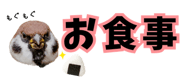 856611620