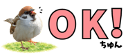856611625