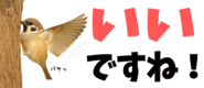 856611626