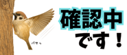 856611629