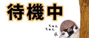 856611630