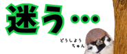 856611631