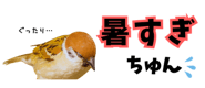 856611632