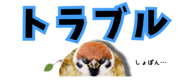 856611636