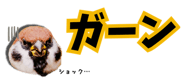 856611637