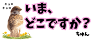 856611638