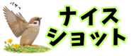 856611639