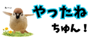 856611640