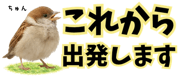 856611641