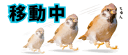856611642
