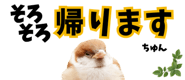 856611644