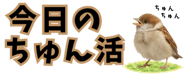 856611647