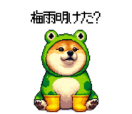 856613002