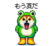 856613004