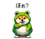 856613006