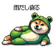 856613011