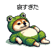 856613012