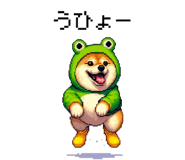 856613017