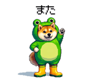 856613018