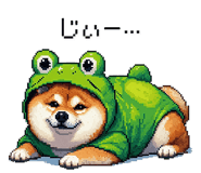 856613019