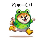 856613021