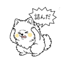 856619952