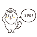 856619954