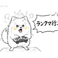 856619955