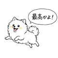 856619965