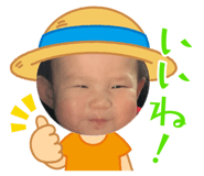856620161