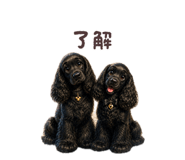 856620325