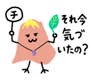 856620796