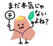 856620804