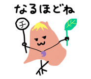 856620913