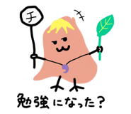 856620914