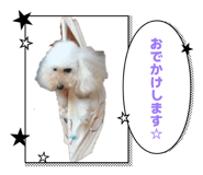 856621225