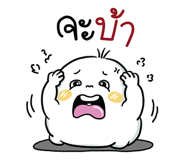 856621276