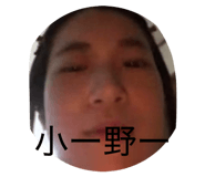 856622228