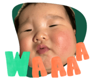 856622493
