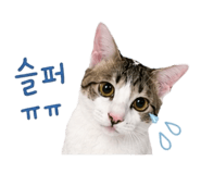 856622791