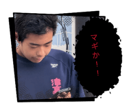 856623442