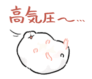 856624634