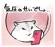 856624661