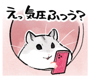 856624662