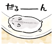 856624666