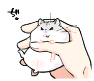 856624669