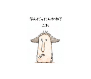 856624806