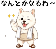 856625074