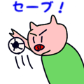 856625797